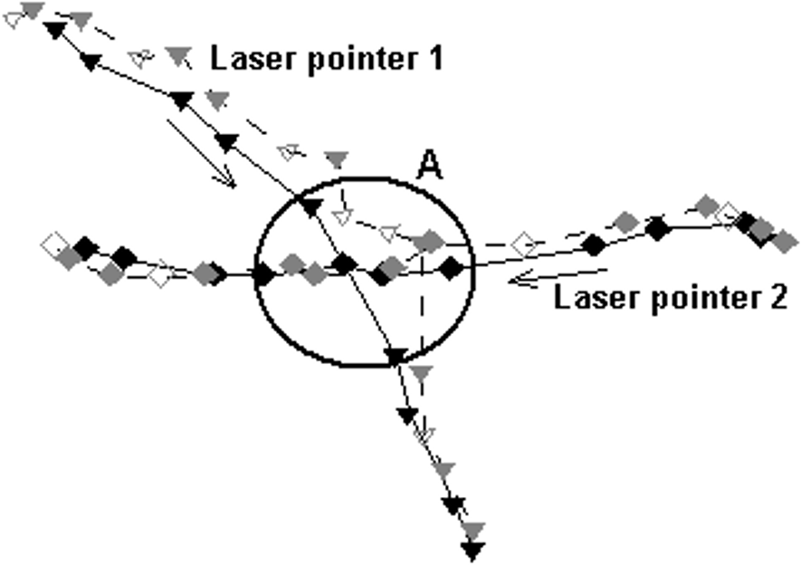 Laser Pointers as Collaborative Pointing Devices